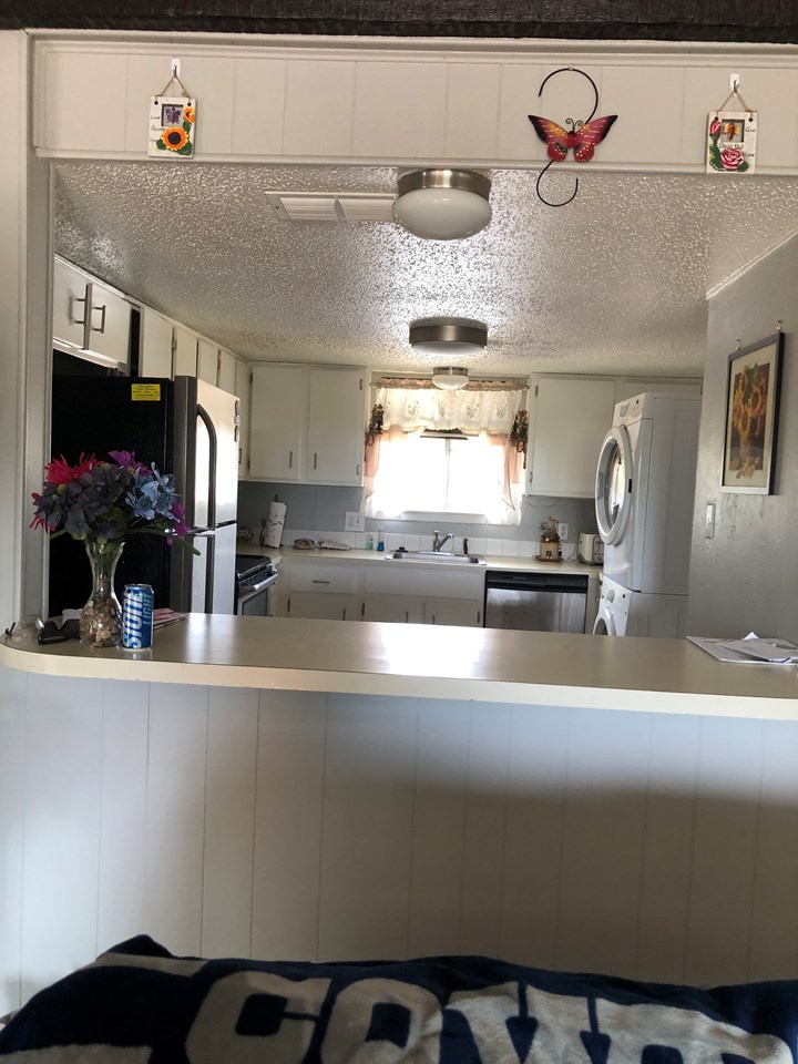 raised bar between kitchen and living