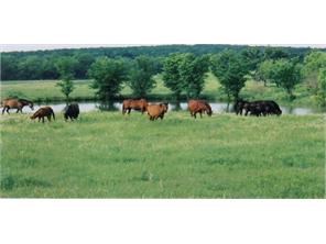 1096 County Road 1790 