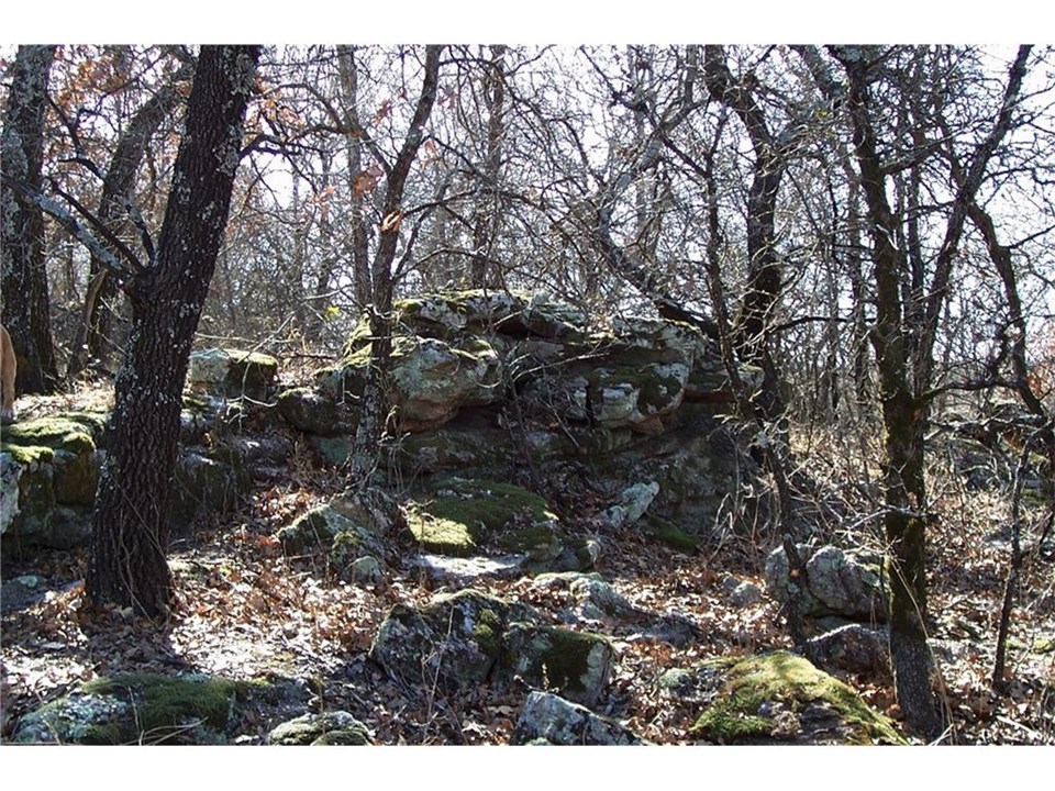 shelter for wildlife