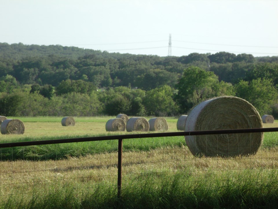 excellent hay production