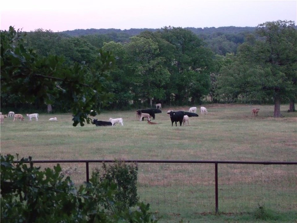 cattle cattle and ranch equipment can also be purchased